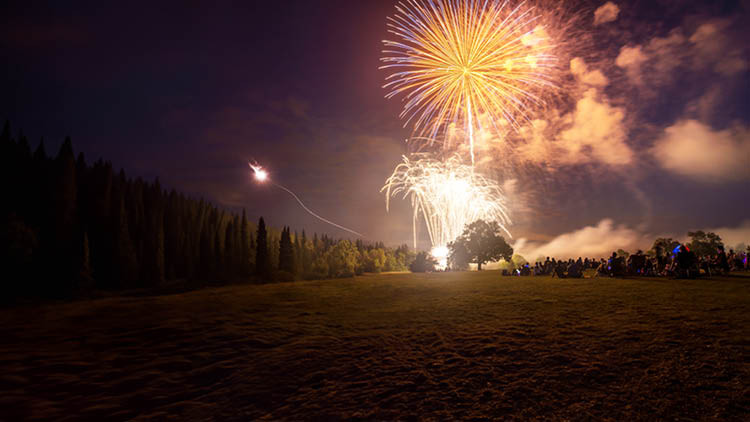 Fireworks exploding in a dark sky
