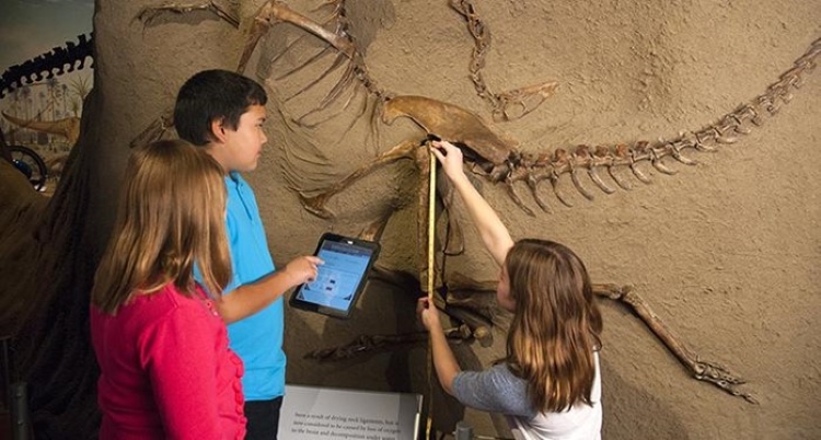 Students involved in collecting Palaeontology data