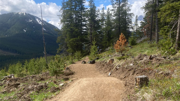 Boulder Dash bike trail in the York Creek trail network