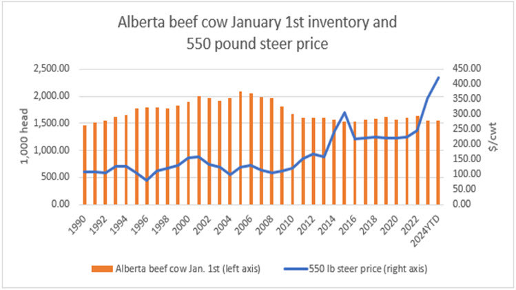 Chart: Alberta beef cow January 1st inventory and 550 pound steer price