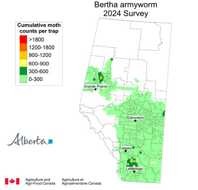 Bertha Armyworm map 2024