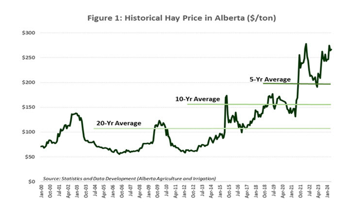 Image of a graph showing historical hay prices in Alberta