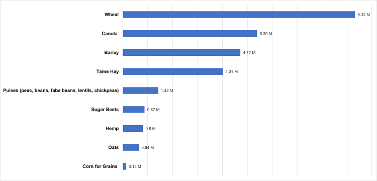 Top crop production in Alberta for 2023