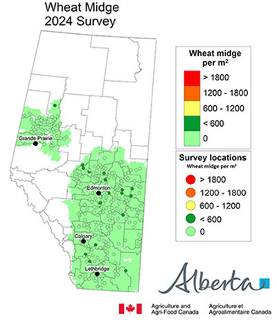 Wheat midge survey map