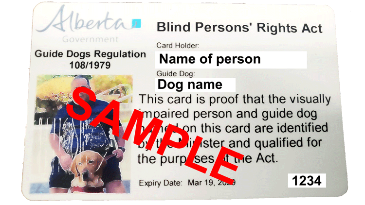 Service Dogs Id Card Example ?itok=ix1QrOYv
