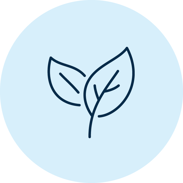 Illustrated graphic of leaves on a blue circular background.