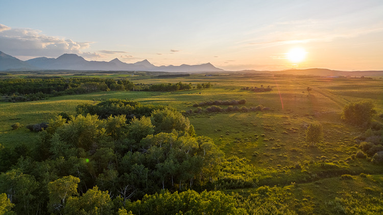 Drone shot of the Yarrow, by Sean Feagan. Card image.