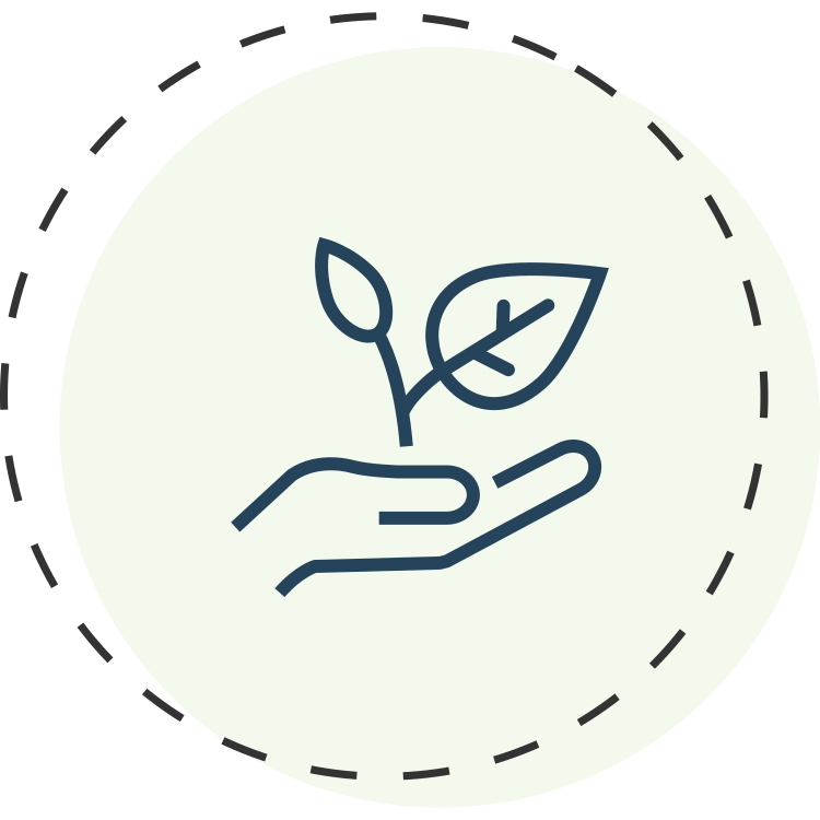 Plant growing in hand icon